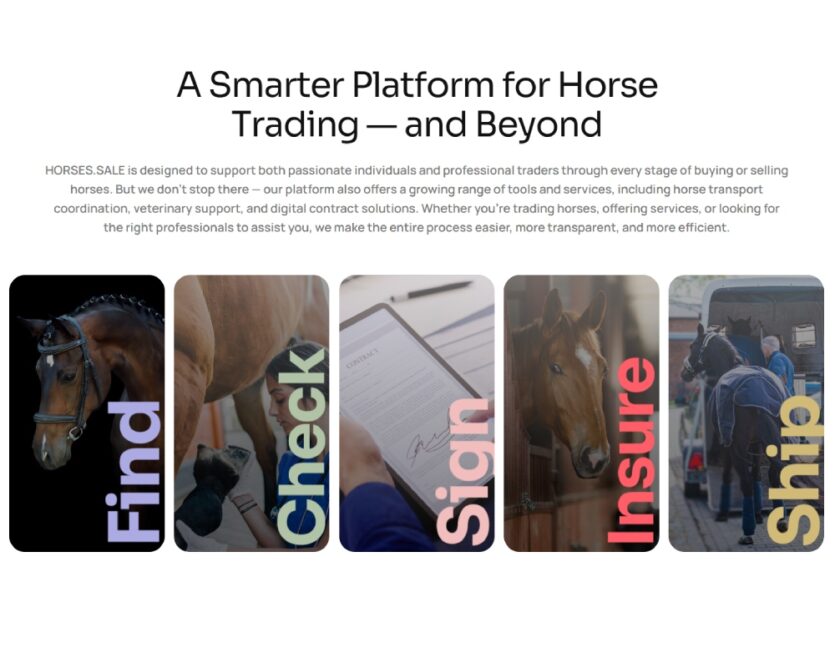 horses_sale_preview2